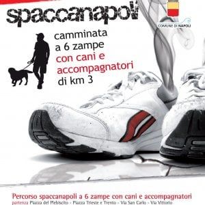 Torna la maratona Spaccanapoli, quest'anno anche "a sei zampe"
