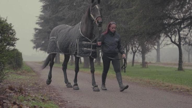 "Io sono Varenne", un documentario sul cavallo più grande nella storia del trotto