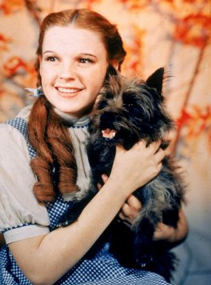 All'asta l'abito di Dorothy nel "Mago di Oz":  venduto a 1,46 milioni di euro