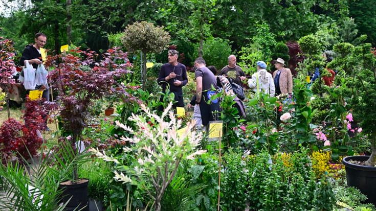 Tutti i colori e i profumi del verde: torna Giardini&Terrazzi, per riempirsi di piante e fiori