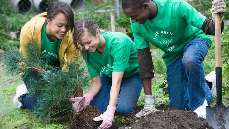Altruismo e tutela dell'ambiente, i valori che guidano i comportamenti degli italiani