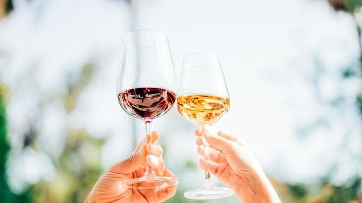 Chi compra il vino dealcolato e chi lo frena: il mercato visto da Hofstätter