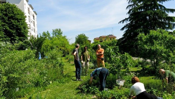 La Picasso Food Forest diventa bene comune urbano 