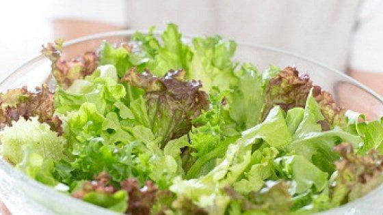 "Insalate in busta, il taglio delle foglie aumenta il rischio di salmonella"