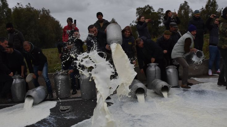 “Tutta colpa del pecorino”: ecco chi spinge i pastori a versare il latte per strada