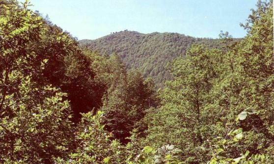 Banca della Terra, la città metropolitana "regala" 1400 ettari all'agricoltura