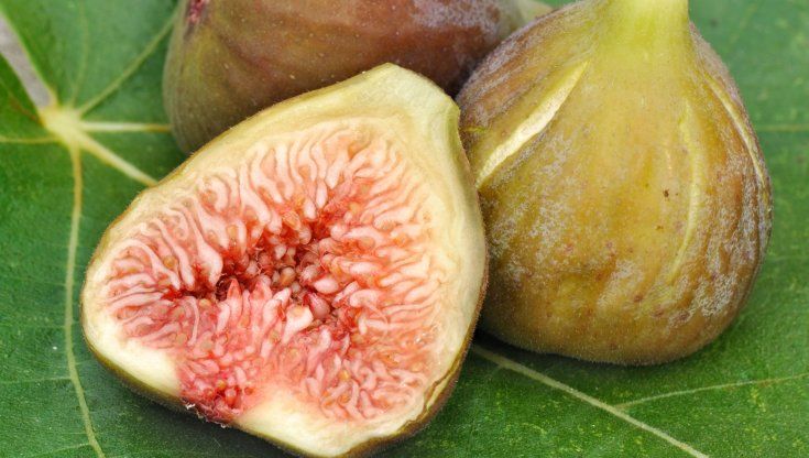 Ricordi della mia Sardegna tra fichi e ricotta