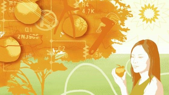 Ogm, gli scienziati: "Non fermate la ricerca aiutiamo le piante a sopravvivere"