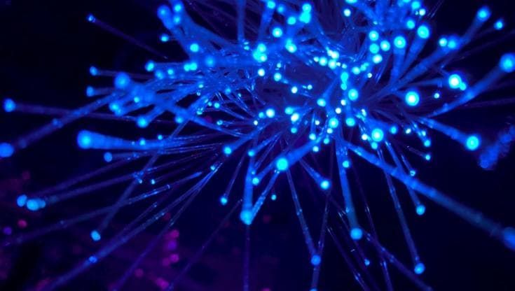 Perché TIM Priority non vìola le norme sulla neutralità della rete