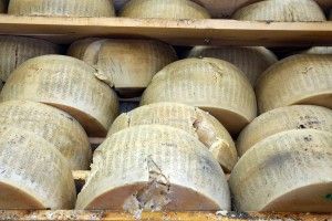 Sisma, agricoltura in ginocchio<br />"Danni pi&ugrave; gravi di quanto stimato"