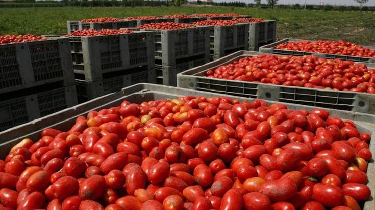Campania, allarme dazi. “Peseranno sulle aziende per 280 milioni di euro”