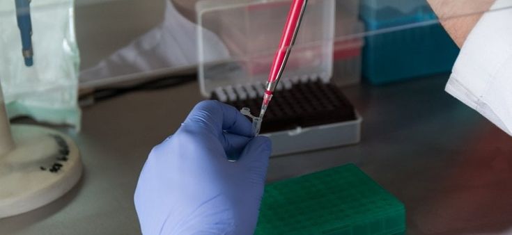 Dove si fa ricerca le cure sono migliori