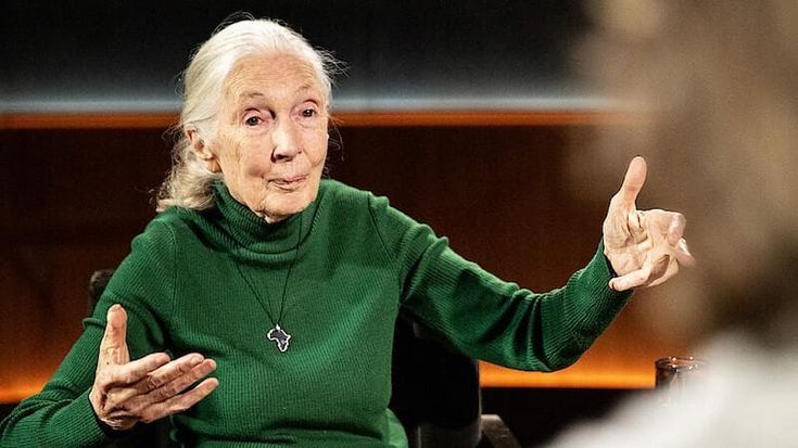 Jane Goodall e le “ultime parole famose”. Netflix lancia i doc “post mortem”