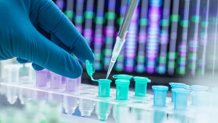 Tumore al pancreas: due nuovi studi per migliorare il trattamento della malattia