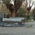 Maltempo, un morto in Calabria: alberi, tetti e statue travolte dal vento