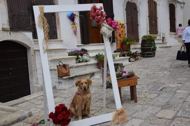 'Borgo in fiore' a Putignano: vicoli e balconi si colorano