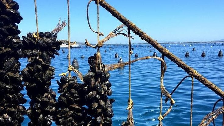 Epatite A, cosa fare per prevenirla. L'esperto: “Con le giuste precauzioni, il virus si può evitare”