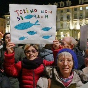 Le Sardine piemontesi vanno a congresso il 25 gennaio