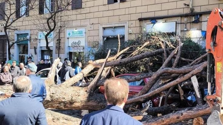 San Lorenzo, crolla un pino in via Tiburtina: due commercianti feriti