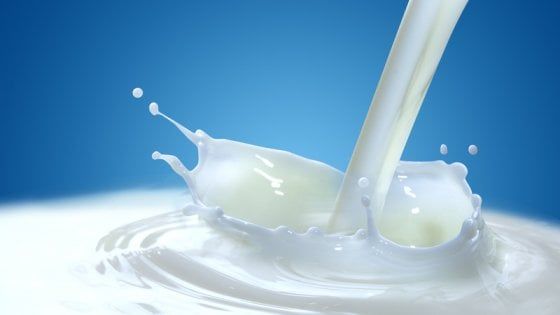 Latte, dieci cose da sapere: la Fao celebra il World Milk Day
