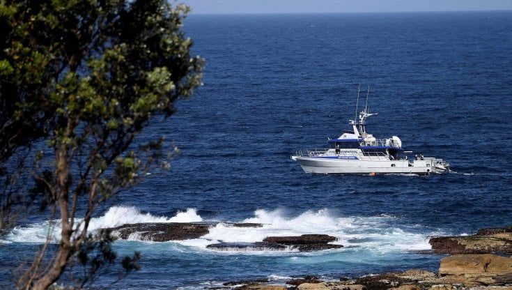 Uno squalo ha ucciso e sbranato un uomo a Sydney, in Australia