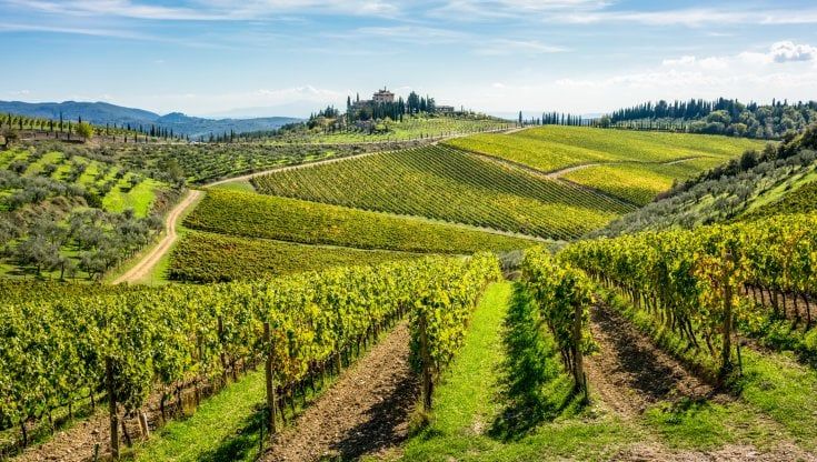 Un sesto della spesa totale delle famiglie italiane va in cibo e bevande