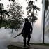 Virus Zika: un'ombra scura si estende sulla città del sole