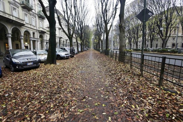 Foglie morte pericolose sulle ciclopiste