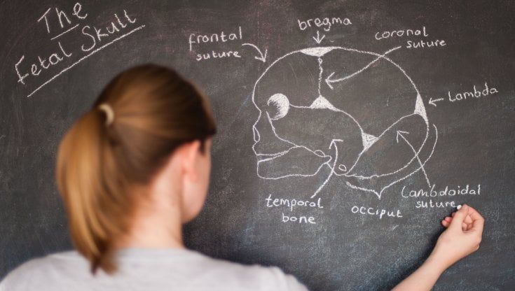 La scuola non versa 3 anni di contributi, la prof se ne accorge sul sito dell’Inps
