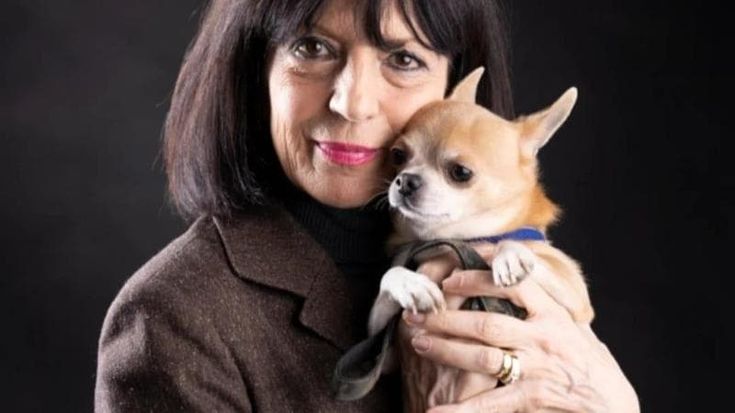 Romana Petri: “Racconto come l’invidia per il successo delle donne diventa violenza”