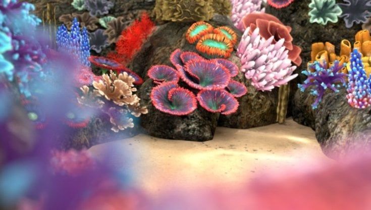  Una app per salvare la Grande barriera corallina australiana