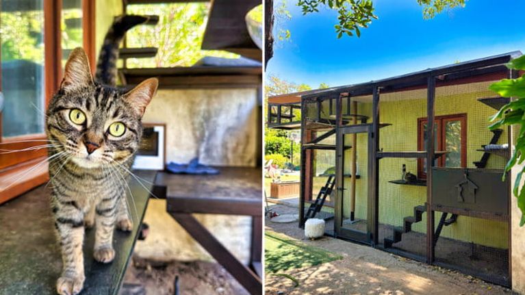 Catio, una casa all’aperto per il tuo gatto