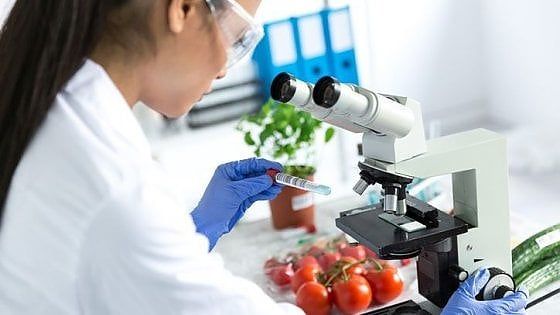 Sicurezza alimentare, la scienza e l'informazione corretta tranquilizzano gli europei