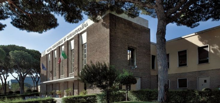 America-Italia a confronto, ecco come vincere un Oscar (o un David) a soli 30 anni