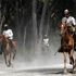 Equitazione, 'Toscana Endurance Lifesty': dal 16 al 20 settembre il mondo a San Rossore
