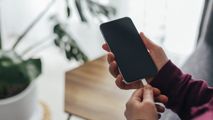 Ecco quante piante servono per assorbire la CO2 emessa dai nostri smartphone quando si ricaricano