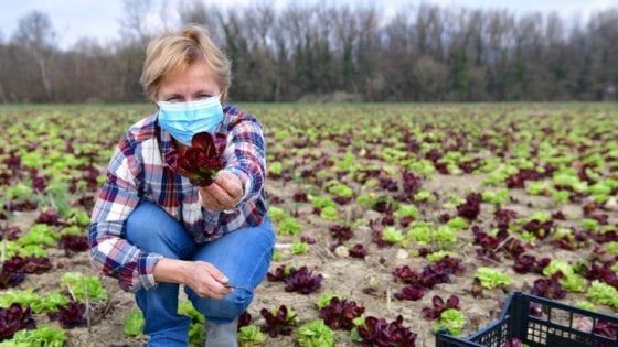 L’agricoltura post-Covid al centro del Forum Enpaia