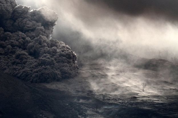 La potenza della natura, gli animali, l'uomo: le foto 2015 premiate dallo Smithsonian