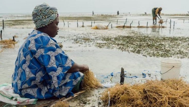 Cambiamenti climatici, gli effetti dannosi sulla salute riproduttiva ricadono soprattutto sulle donne dei Paesi più poveri del mondo