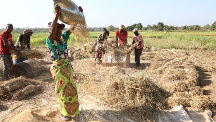 Cibo e agricoltura: c'è la prima emissione di obbligazioni per aumentare gli investimenti per i piccoli agricoltori e battere fame e povertà