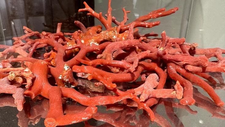 Sciacca celebra con un museo la storia del corallo