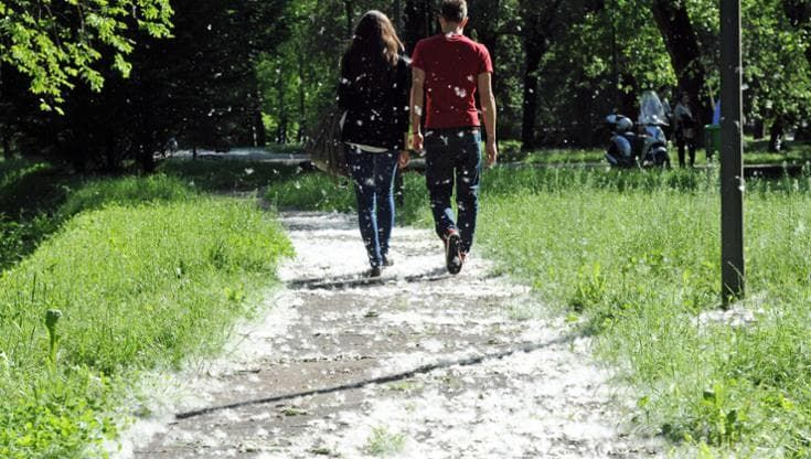 Il boom delle allergie. “Ecco perché non ci sono mai stati così tanti pollini come adesso”