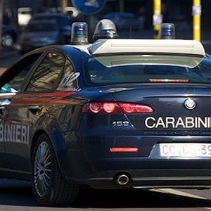 Taranto, sorpresi a rubare olive dagli alberi con 720 chili già nascosti nel furgone: 4 arresti