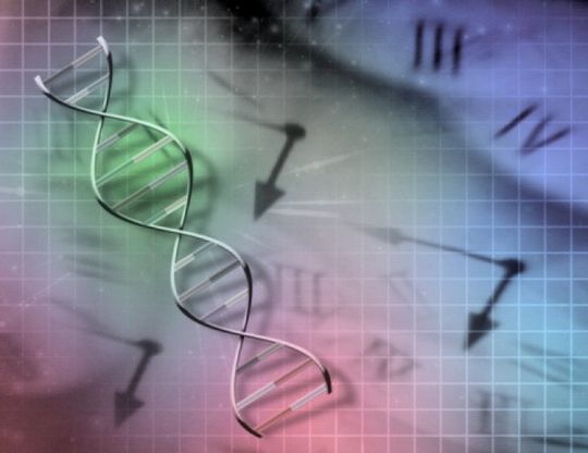 Malattie rare, sfida all'isolamento<br />Attese infinite per le diagnosi