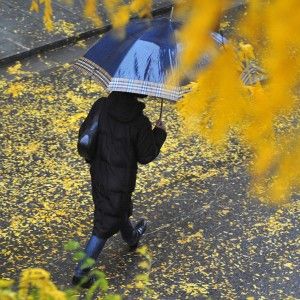 Maltempo in arrivo, allerta temporali al centro-nord