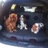Nissan X-Trail 4Dog, il paradiso dei cani