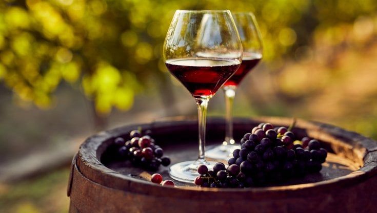 Vino, Uiv: il voto al cancer plan è decisivo per produttori e consumatori