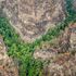 Incendi Australia, in salvo il bosco degli alberi-dinosauro. Arriva la pioggia 
