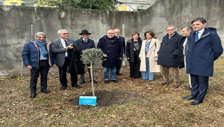 Ercolano, un albero per la libertà: 20 anni dal "modello" che ha sconfitto la camorra