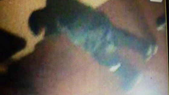 Parma, ladri colpiscono nello stesso posto e vengono di nuovo cacciati